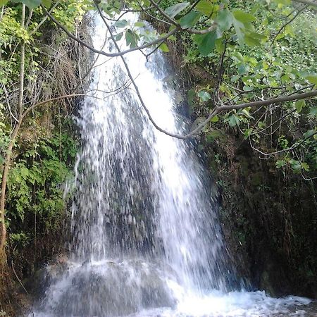 הוילה אל בוסקה Casa La Cascada מראה חיצוני תמונה