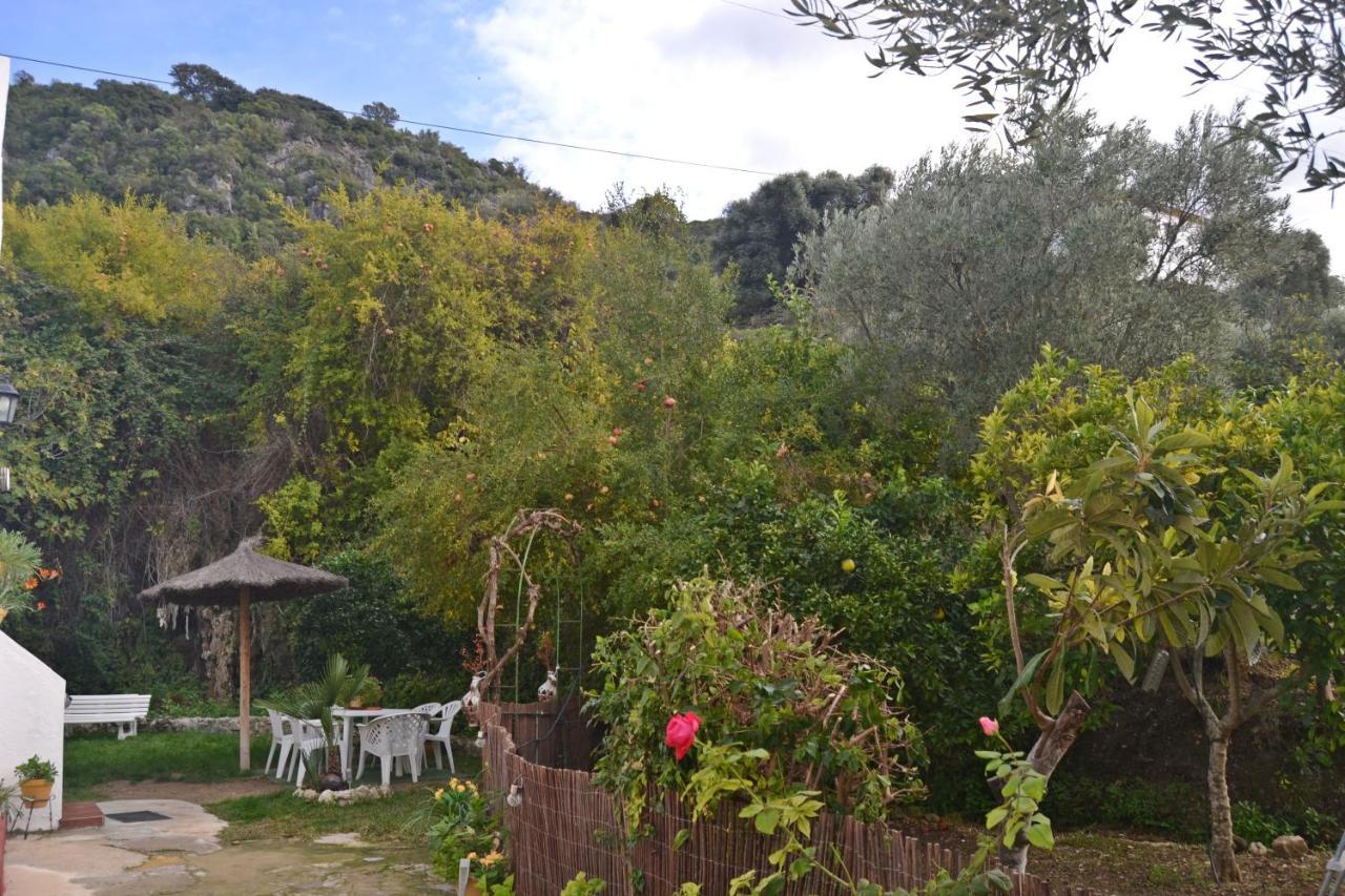 הוילה אל בוסקה Casa La Cascada מראה חיצוני תמונה