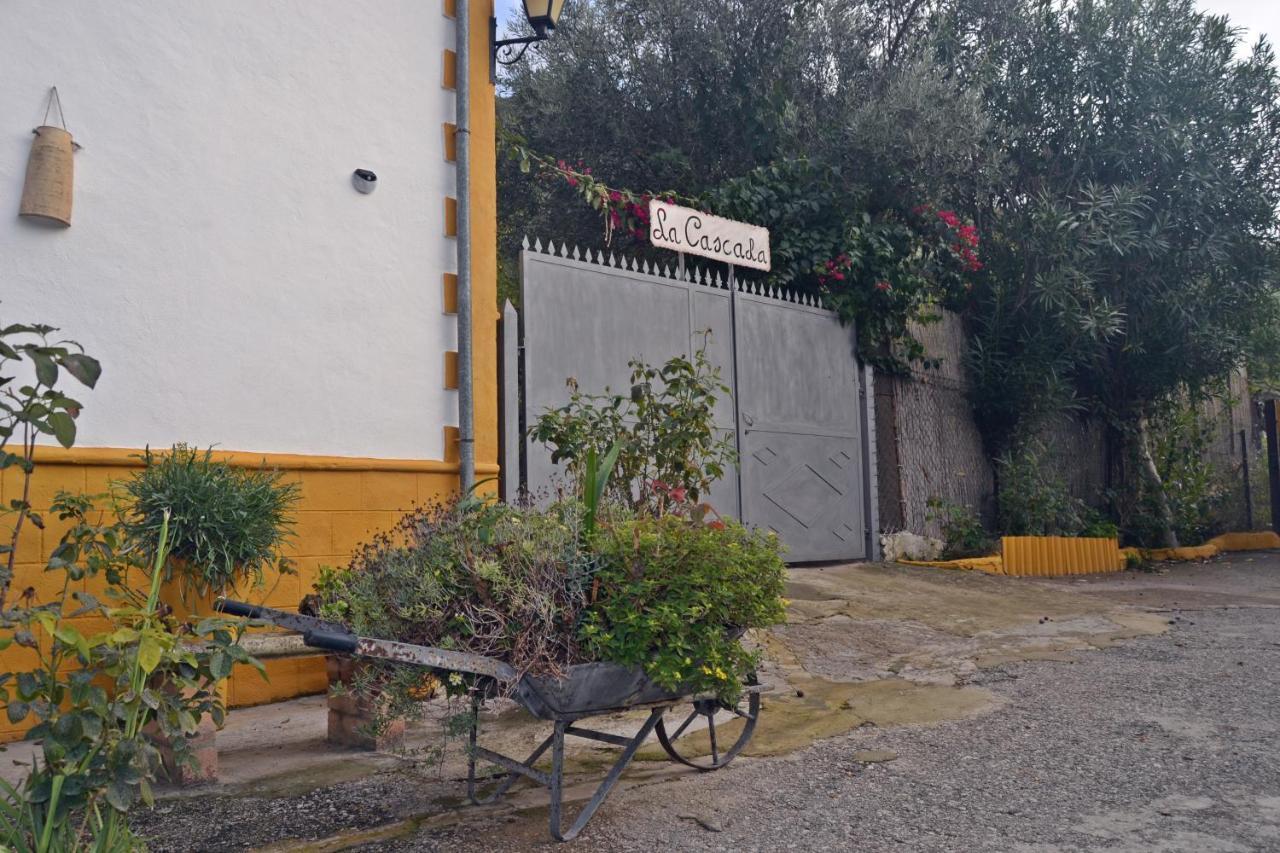 הוילה אל בוסקה Casa La Cascada מראה חיצוני תמונה