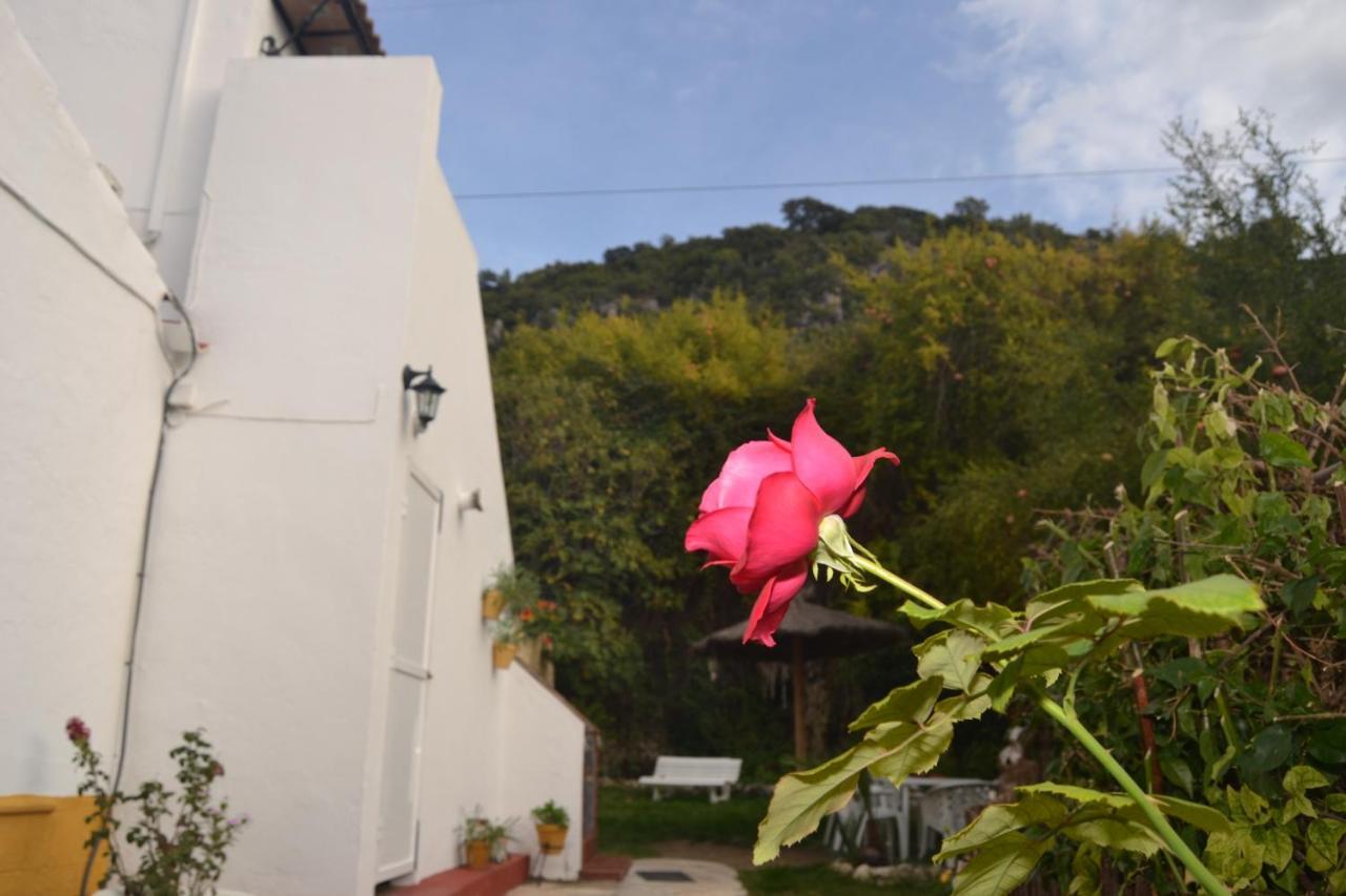 הוילה אל בוסקה Casa La Cascada מראה חיצוני תמונה